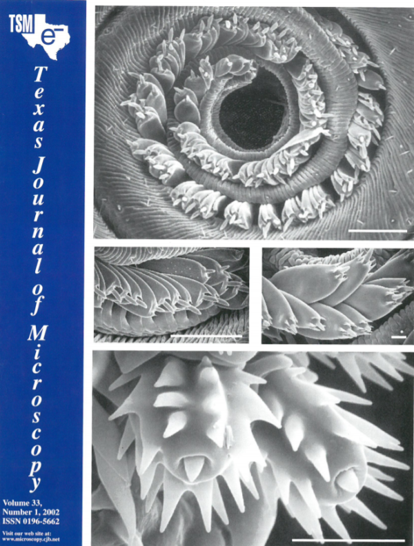 Vol. 33-1 (2002)